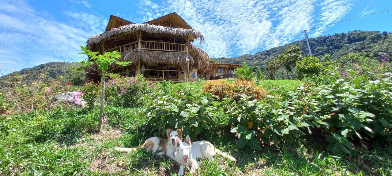 Ecohotel Soplo Del Tambo Cocorna Ngoại thất bức ảnh