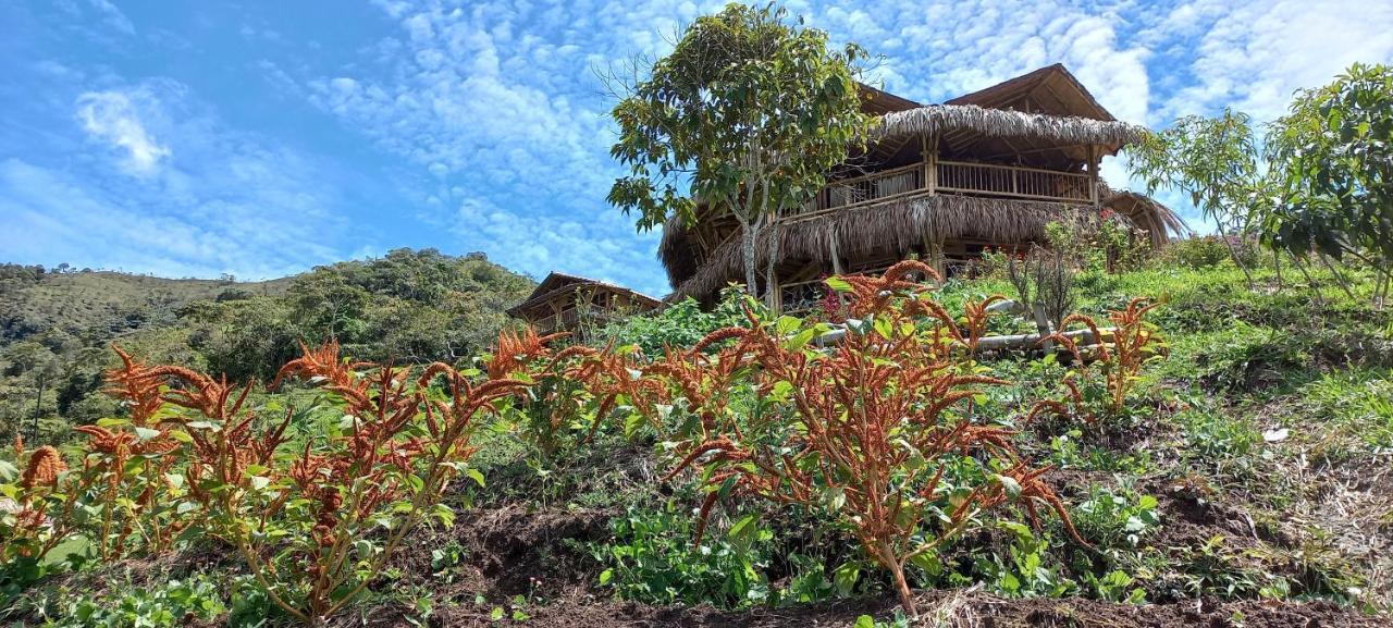 Ecohotel Soplo Del Tambo Cocorna Ngoại thất bức ảnh