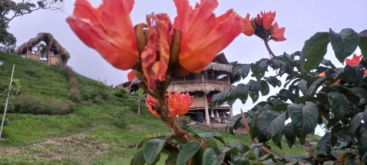 Ecohotel Soplo Del Tambo Cocorna Ngoại thất bức ảnh