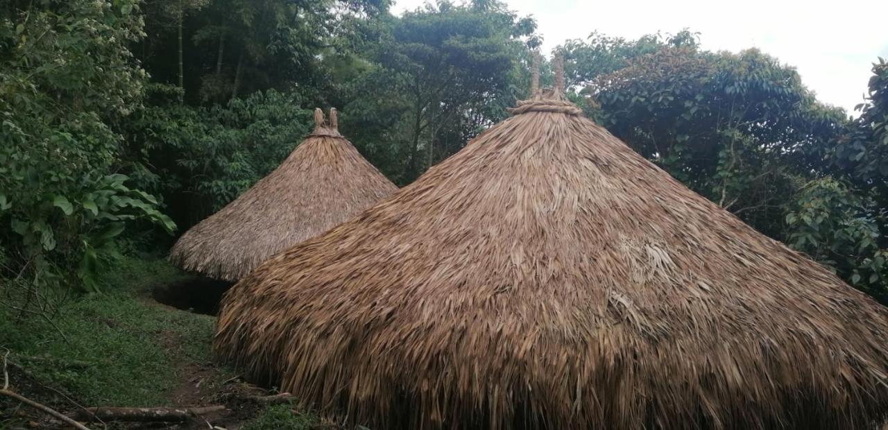 Ecohotel Soplo Del Tambo Cocorna Ngoại thất bức ảnh